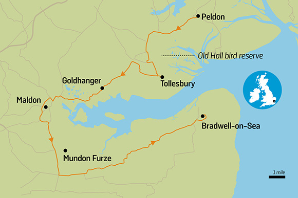 Great Drives: Blackwater estuary 