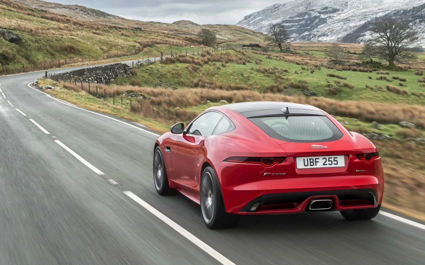 Less roar, more purr: new four-cylinder turbo Jaguar F-Type