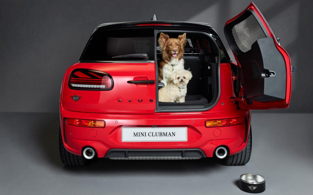 Mini Clubman Dog Pack