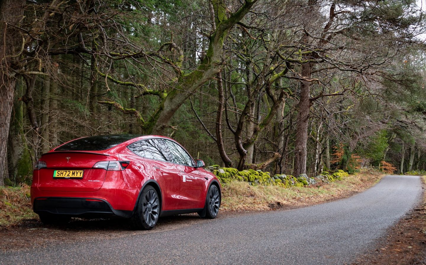 Tesla begins remote test drives