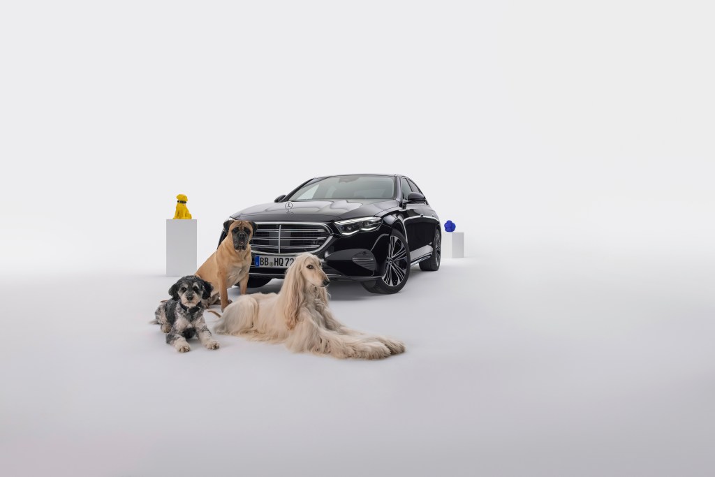 MBUX Bark Assist campaign: Mercedes-Benz presents a new voice assistant  MBUX Bark Assist campaign: Mercedes-Benz presents a new voice assistant